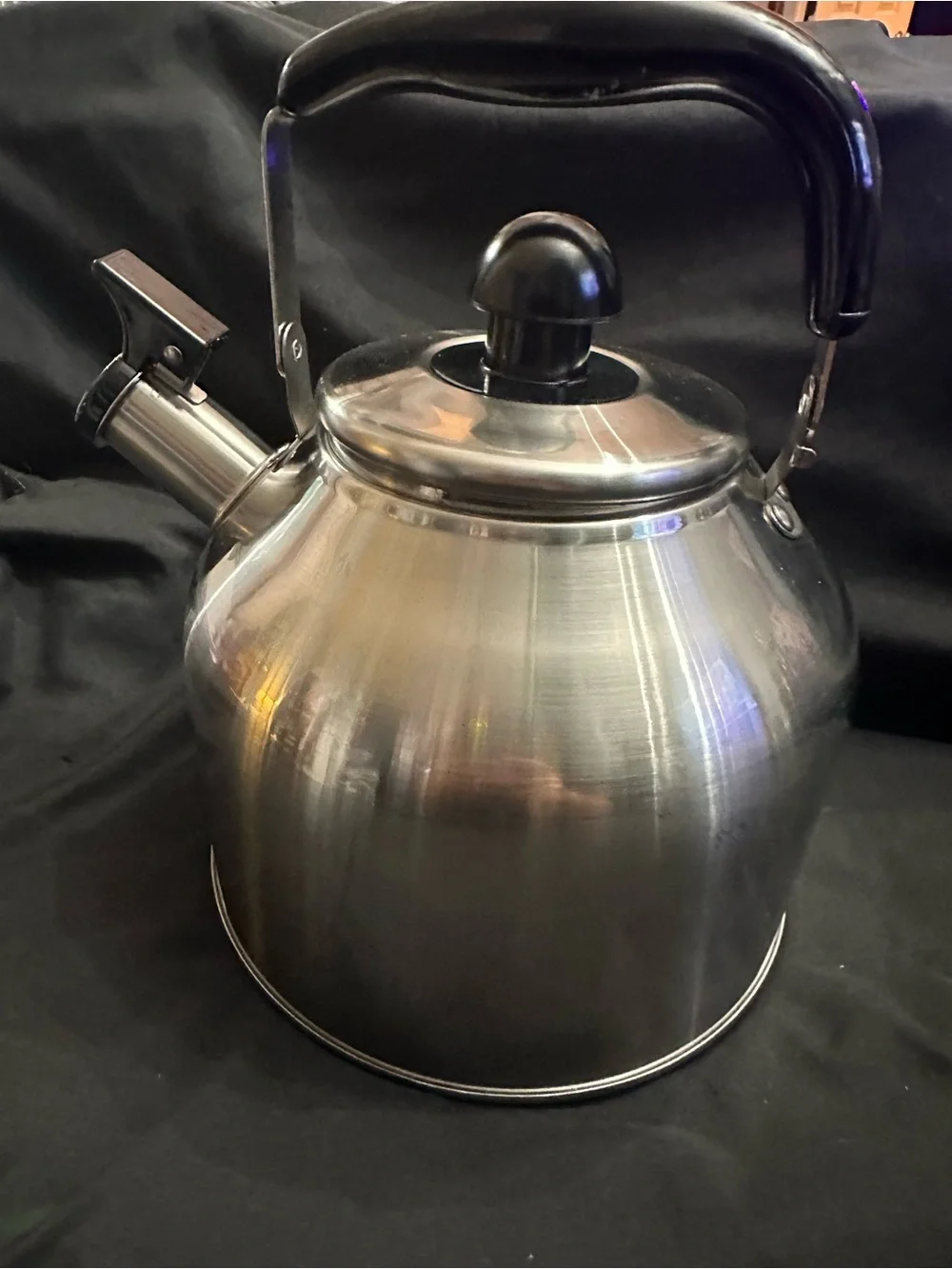 Stainless Steel Whistling Tea Kettle - Black Handle